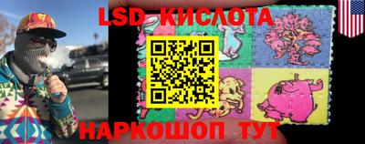 гашик Гай