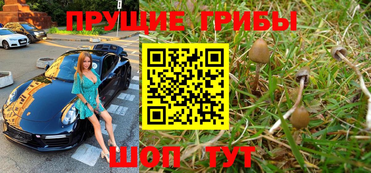 Галлюциногенные грибы GOLDEN TEACHER  Вход с VPN  Белгород 